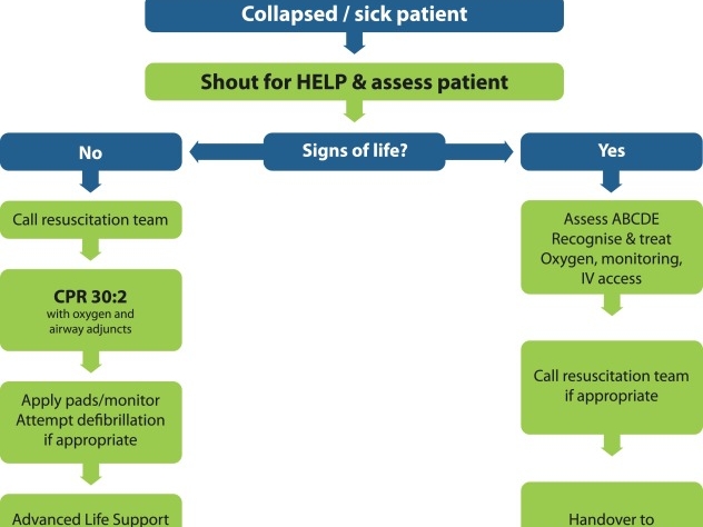 ERC Guidelines For Resuscitation 2015